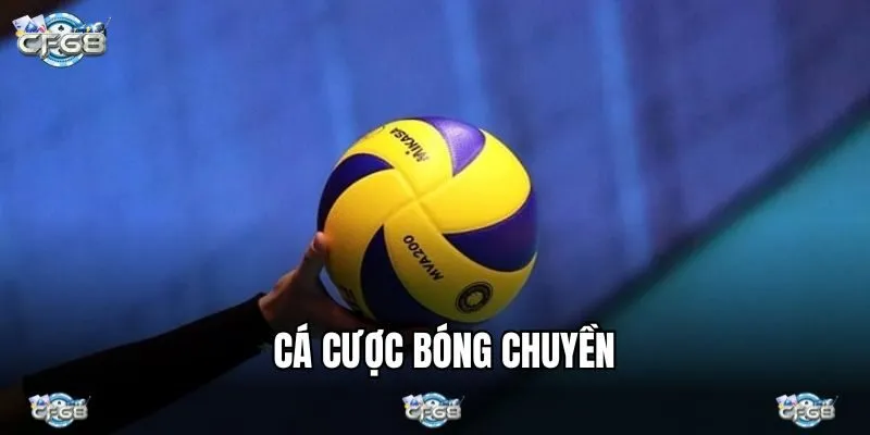 Cá Cược Bóng Chuyền Giải Trí Sôi Động Với Từng Pha Bóng