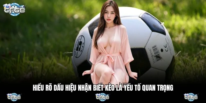 Hiểu rõ dấu hiệu nhận biết kèo là yếu tố quan trọng