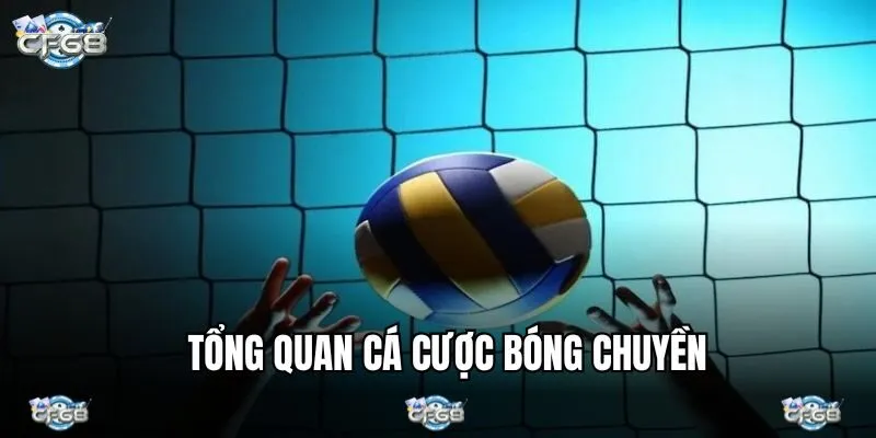 Cá cược bóng chuyền đôi điều giới thiệu 