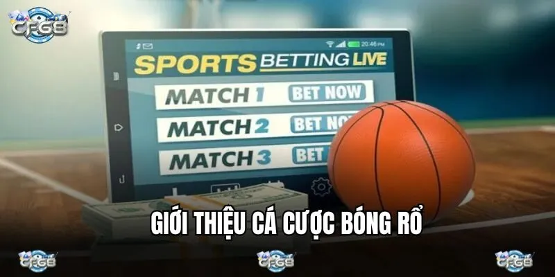 Khái niệm cá cược bóng rổ dành cho tân binh 