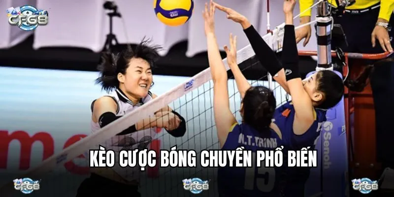 Tổng hợp các loại kèo bóng chuyển thú vị nhất 