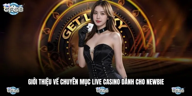 Giới thiệu về chuyên mục live casino dành cho newbie